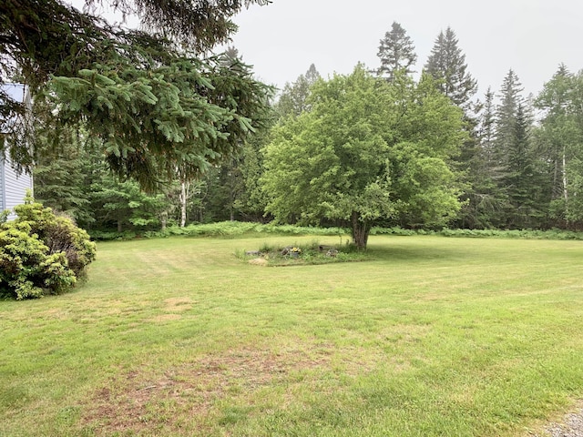 150 Leach Point Rd, Perry, ME 04667 - view of green lawn