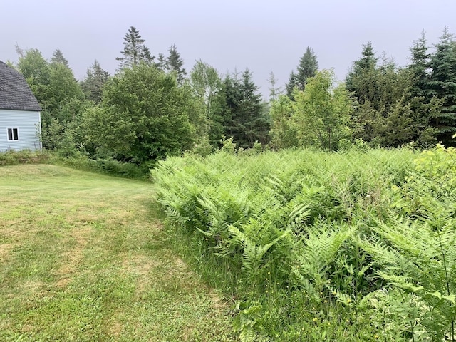 150 Leach Point Rd, Perry, ME 04667 - view of green lawn