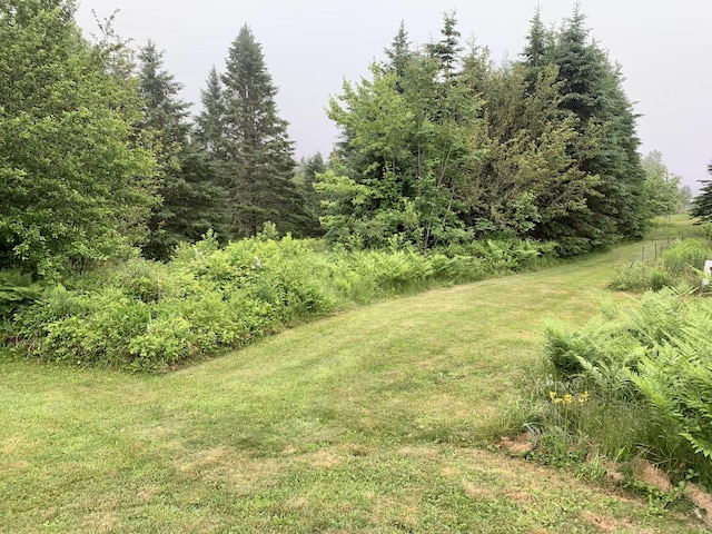 150 Leach Point Rd, Perry, ME 04667 - view of grassy yard
