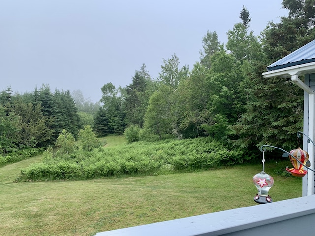 150 Leach Point Rd, Perry, ME 04667 - view of grassy yard