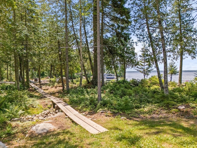 622 Railroad Bed Rd, Lake View Plt, ME 04463 - photo 11
