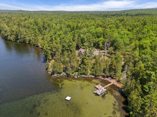 622 Railroad Bed Rd, Lake View Plt, ME 04463 - photo 74