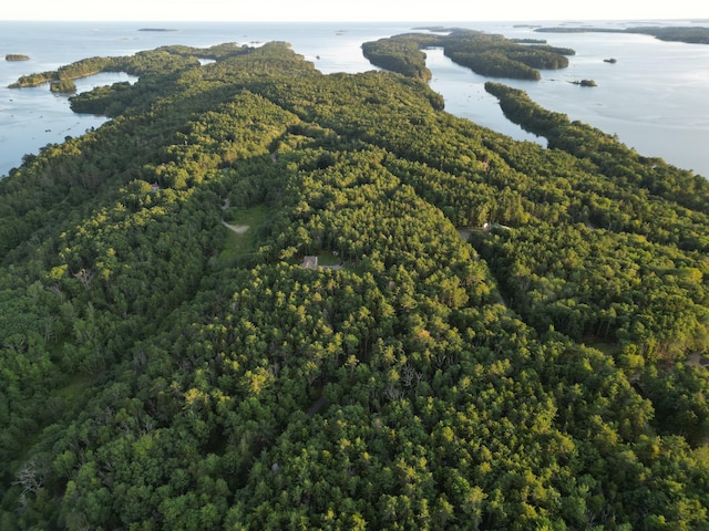 911 Orion Point Way, Harpswell, ME 04079 - aerial view of property's location with a forest and a large body of water