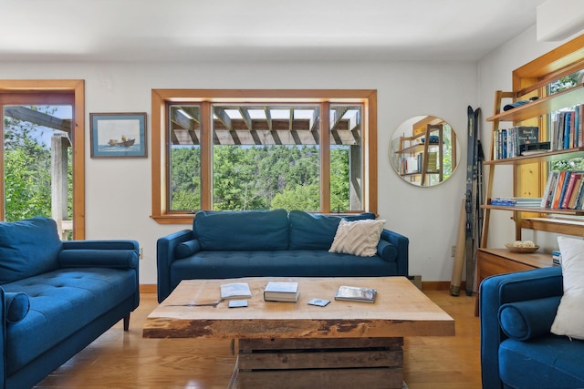 911 Orion Point Way, Harpswell, ME 04079 - living room featuring light wood-type flooring and baseboards