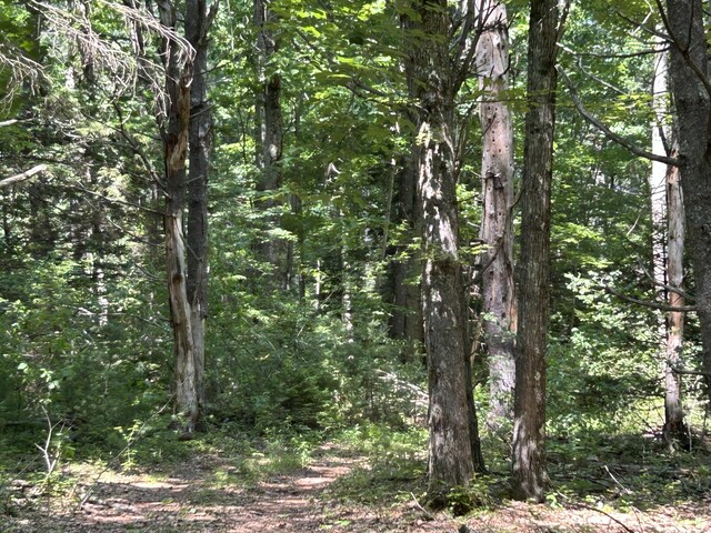 24 Lambert Rd, Freeport, ME 04032 - photo 18