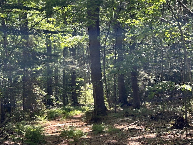 24 Lambert Rd, Freeport, ME 04032 - photo 19