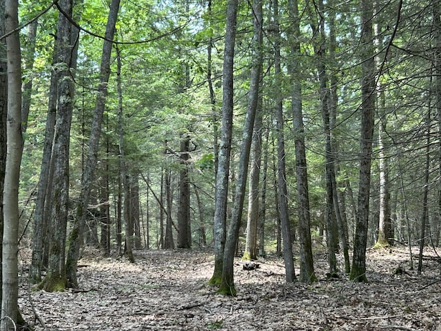 24 Lambert Rd, Freeport, ME 04032 - photo 20