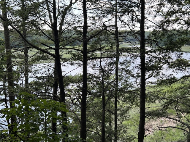 24 Lambert Rd, Freeport, ME 04032 - photo 28