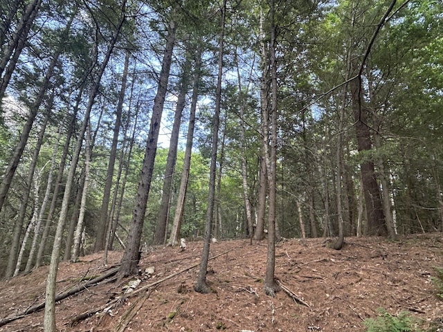 24 Lambert Rd, Freeport, ME 04032 - photo 15