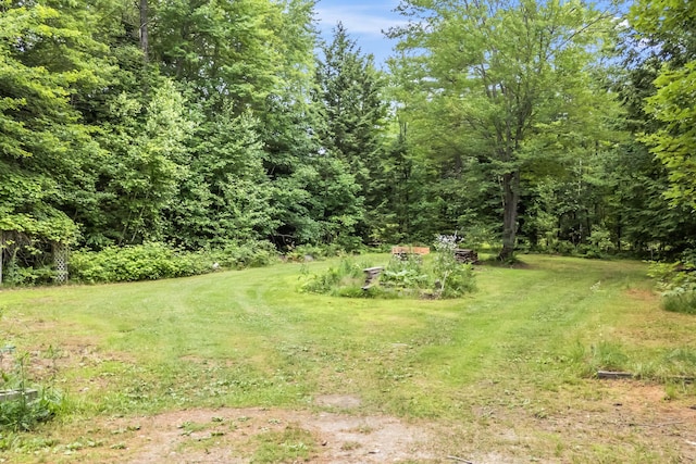 19 Wing St, Lisbon, ME 04252 - photo 46