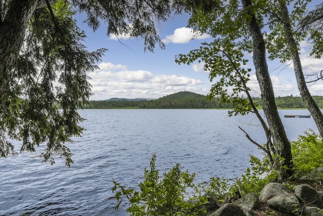 38 NE Cove Rd, Lovell, ME 04051 - photo 64