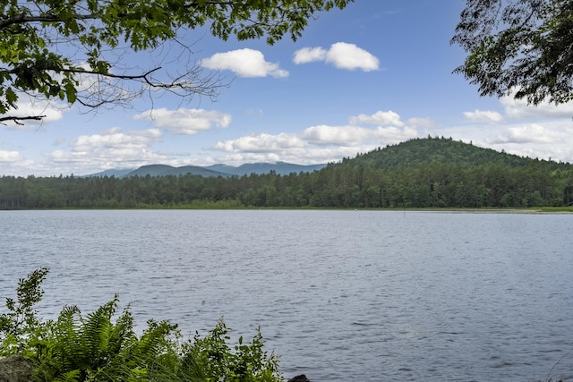 38 NE Cove Rd, Lovell, ME 04051 - photo 65