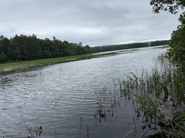 489 Lovejoy Pond Rd, Fayette, ME 04349 - water view with a forest