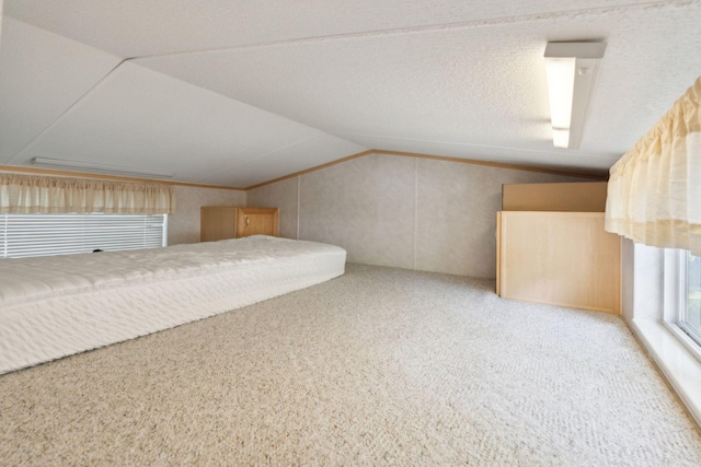 191 Tatnic Rd Unit 74, Wells, ME 04090 - additional living space with vaulted ceiling and carpet