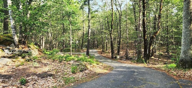 24 N Village Rd, York, ME 03902 - photo 11