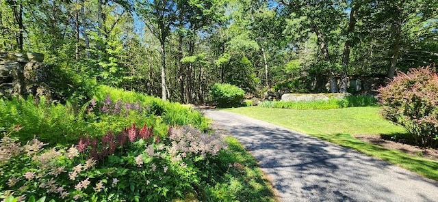 24 N Village Rd, York, ME 03902 - photo 13