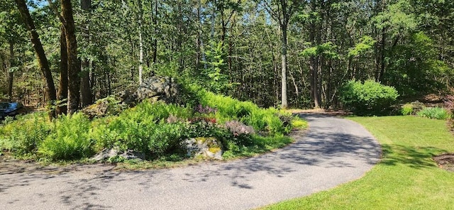 24 N Village Rd, York, ME 03902 - photo 10