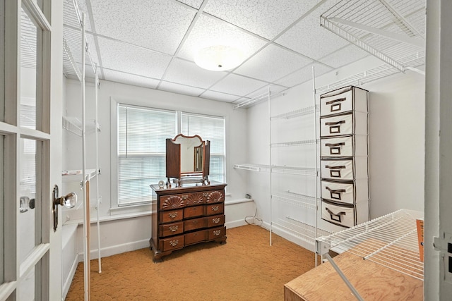 43 Green St, Augusta, ME 04330 - walk in closet featuring light carpet and a paneled ceiling