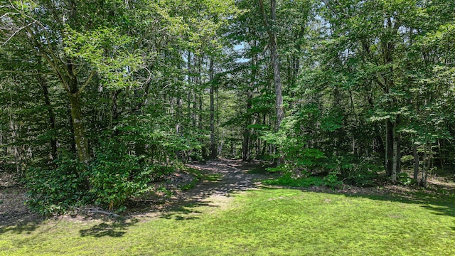 34 Carsley Rd, Harrison, ME 04040 - photo 53