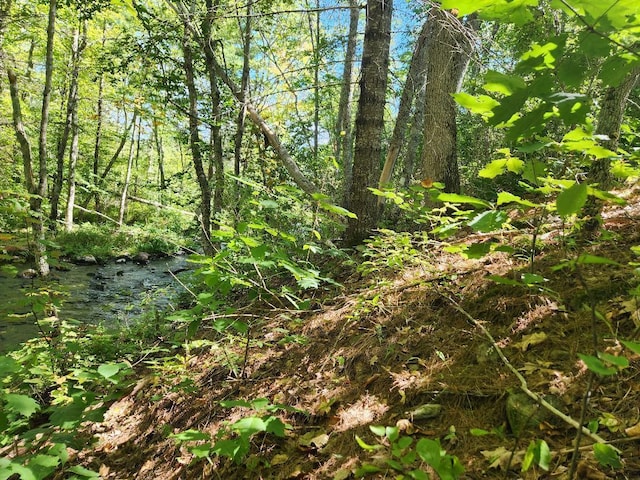 28 Cemetery Rd, Montville, ME 04941 - photo 2