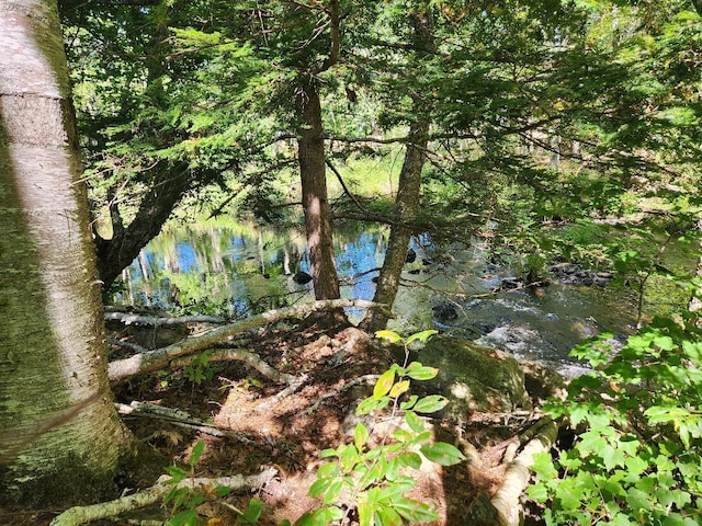 28 Cemetery Rd, Montville, ME 04941 - photo 3