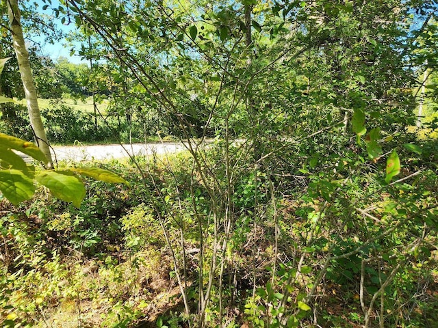 28 Cemetery Rd, Montville, ME 04941 - photo 8