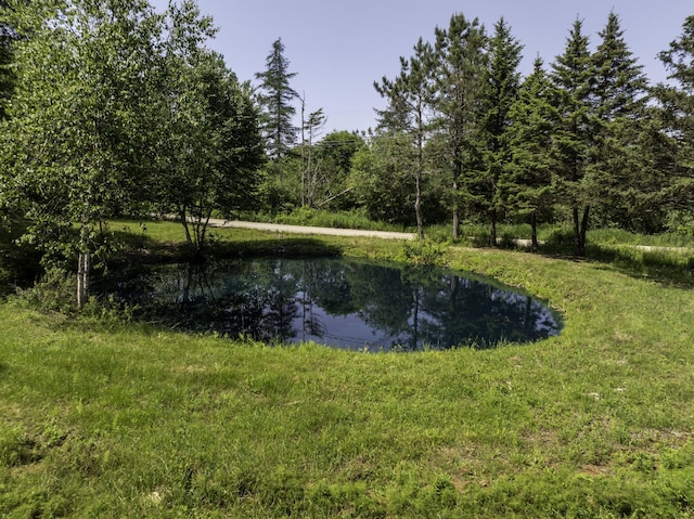 152 Duck Cove Rd, Roque Bluffs, ME 04654 - photo 5