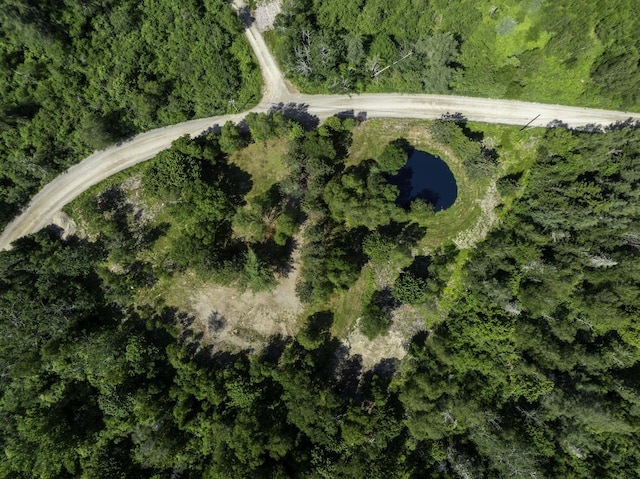 152 Duck Cove Rd, Roque Bluffs, ME 04654 - photo 11