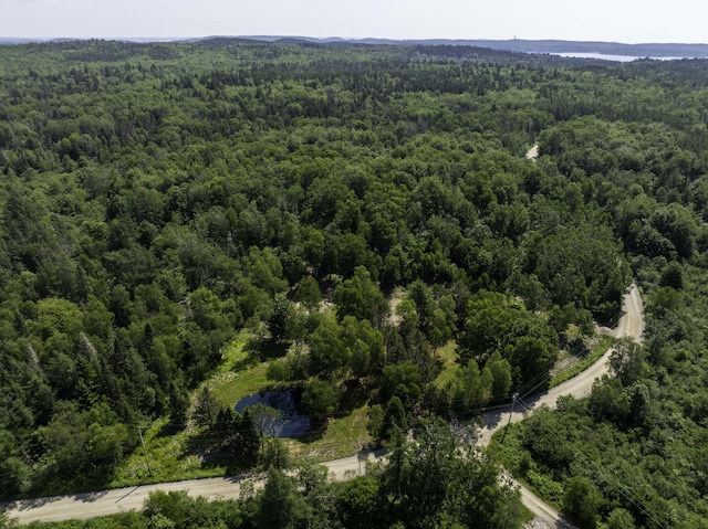 152 Duck Cove Rd, Roque Bluffs, ME 04654 - photo 13