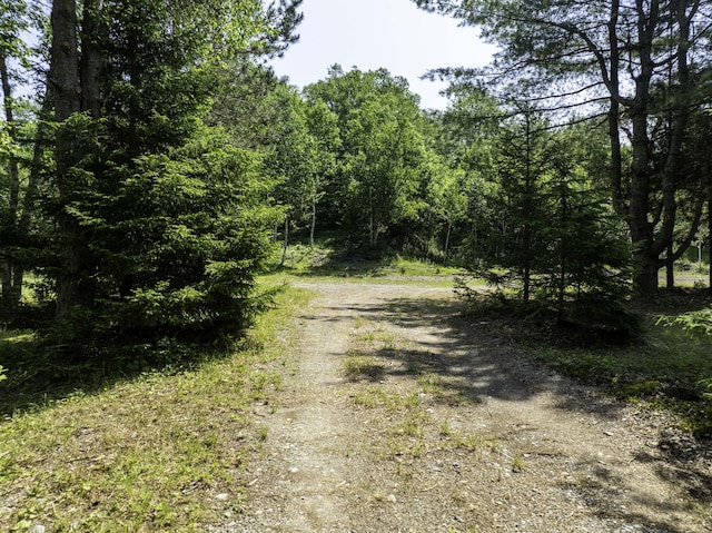 152 Duck Cove Rd, Roque Bluffs, ME 04654 - photo 4