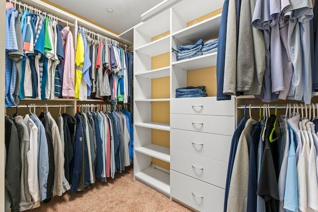 38 Harvest Hill Ln Unit 38, Auburn, ME 04210 - spacious closet with carpet flooring