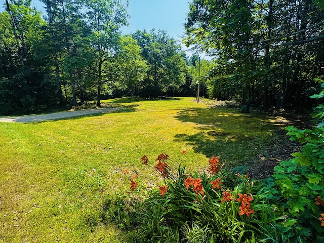 M7L17-3 Bardon Hill Rd, Etna, ME 04434 - photo 1