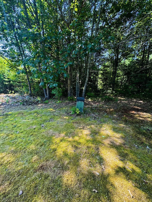M7L17-3 Bardon Hill Rd, Etna, ME 04434 - photo 12