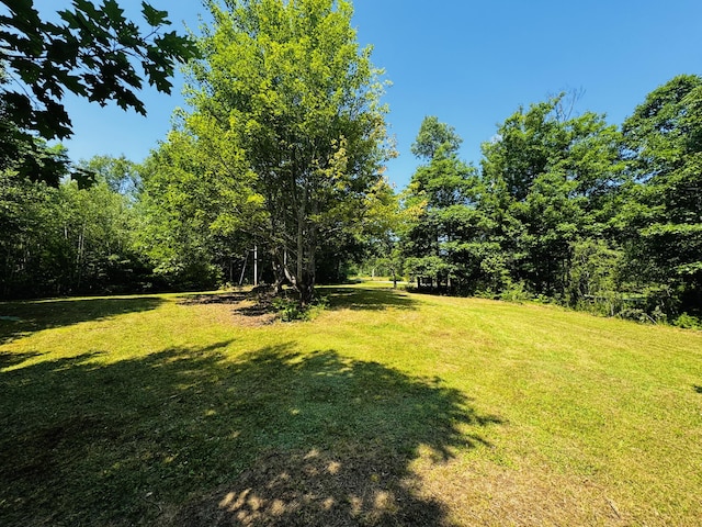 M7L17-3 Bardon Hill Rd, Etna, ME 04434 - photo 2