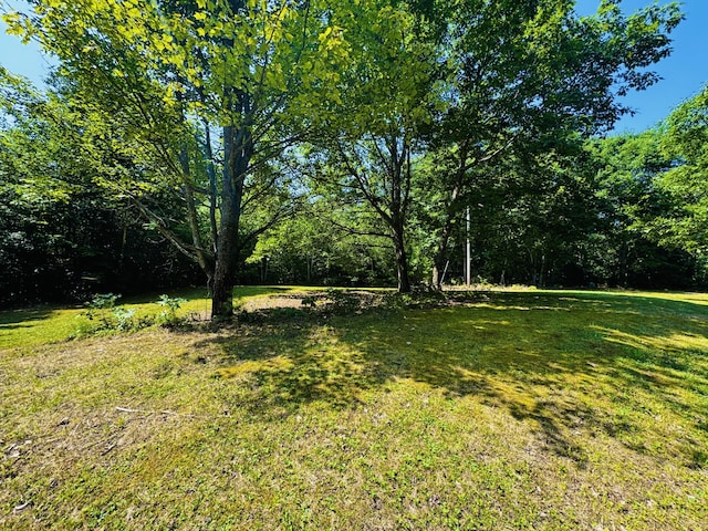 M7L17-3 Bardon Hill Rd, Etna, ME 04434 - photo 11