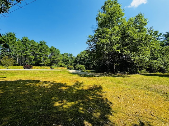 M7L17-3 Bardon Hill Rd, Etna, ME 04434 - photo 8