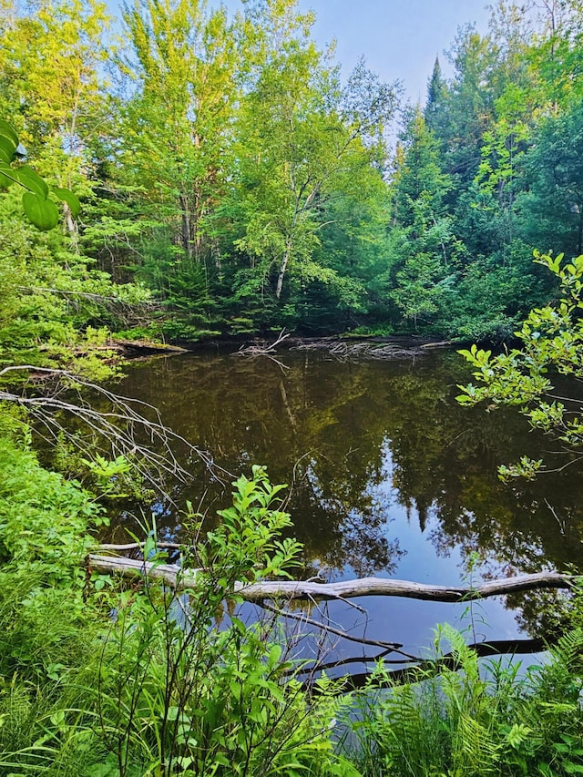M7L17-3 Bardon Hill Rd, Etna, ME 04434 - photo 14