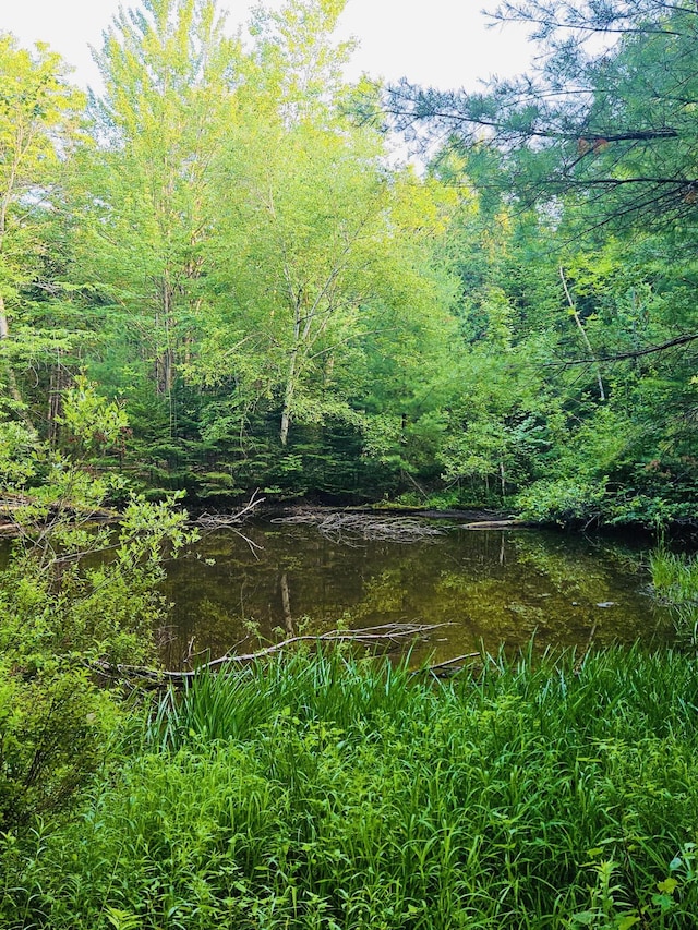M7L17-3 Bardon Hill Rd, Etna, ME 04434 - photo 10