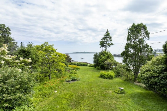 1 Grimes Ave, Boothbay, ME 04544 - view of green lawn featuring a water view