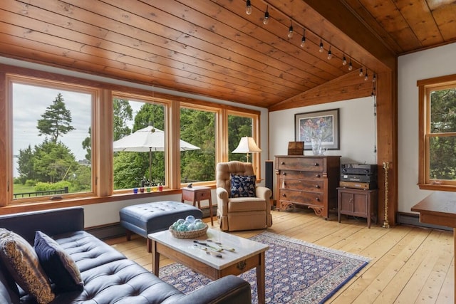 1 Grimes Ave, Boothbay, ME 04544 - living area featuring track lighting, wood ceiling, light wood-type flooring, and lofted ceiling