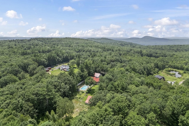 81 Tenny Hill Rd, Raymond, ME 04071 - photo 60