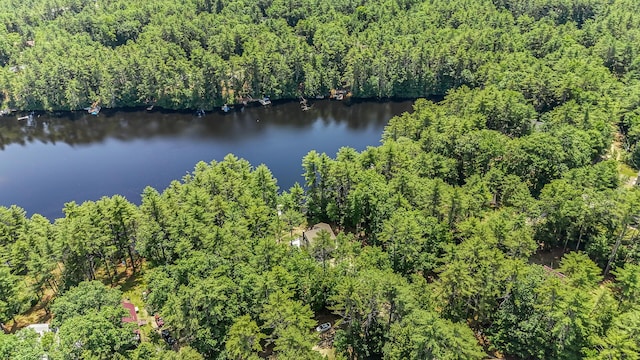 181 Crescent Dr, Waterboro, ME 04061 - photo 28