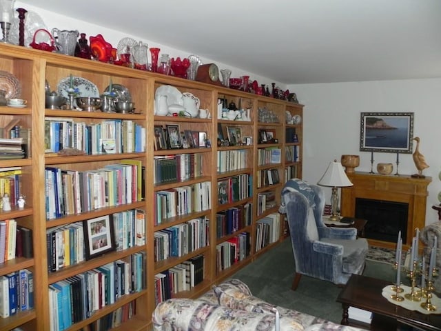 799 N Lubec Rd, Lubec, ME 04652 - photo 19