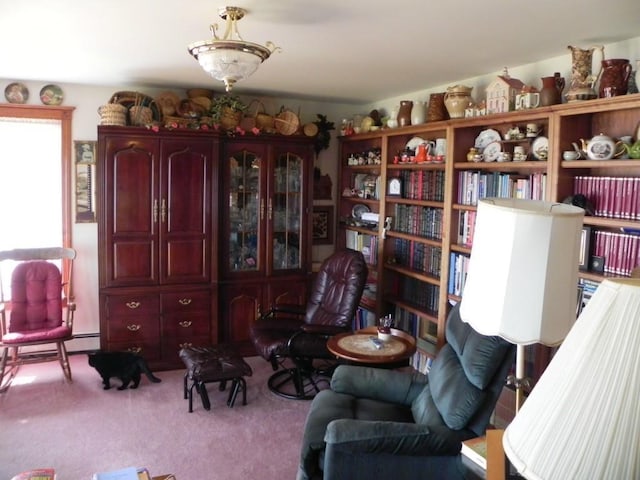 799 N Lubec Rd, Lubec, ME 04652 - photo 21