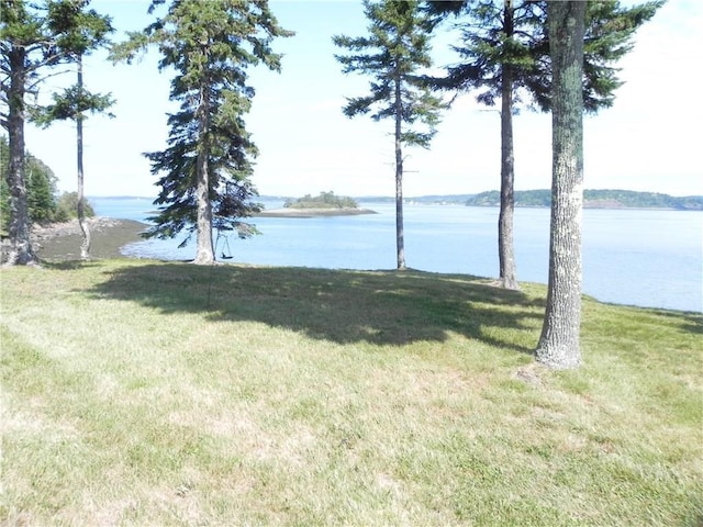 799 N Lubec Rd, Lubec, ME 04652 - photo 12