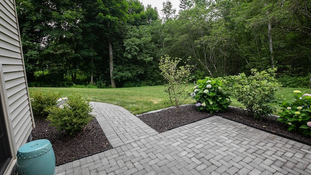 6 Doolin Dr, Veazie, ME 04401 - photo 22