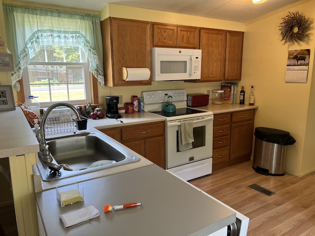 1319 Toddy Pond Rd, Surry, ME 04684 - photo 6