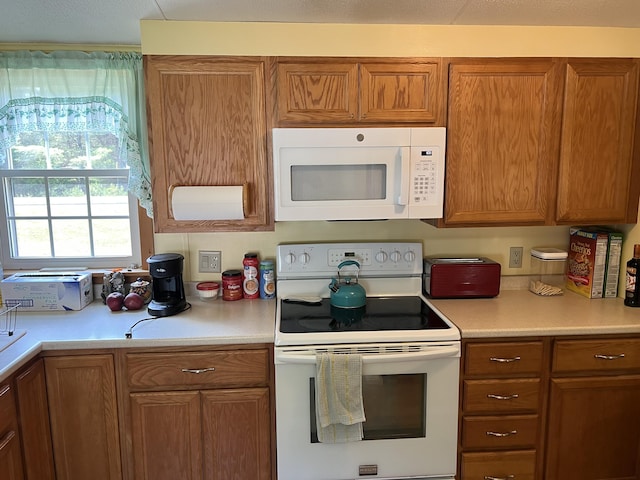 1319 Toddy Pond Rd, Surry, ME 04684 - photo 12