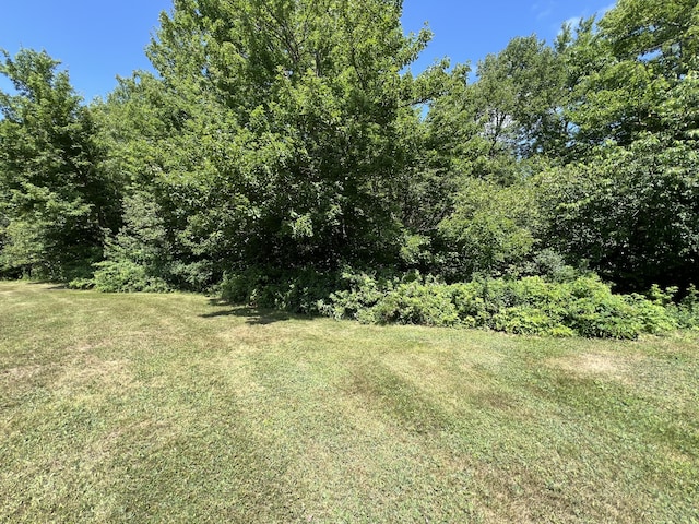 1319 Toddy Pond Rd, Surry, ME 04684 - photo 20