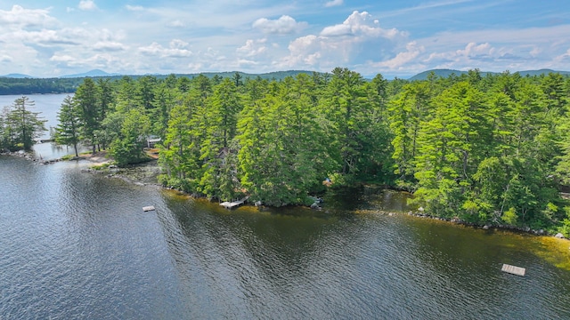 41 Sucker Brook Rd, Bridgton, ME 04009 - photo 37